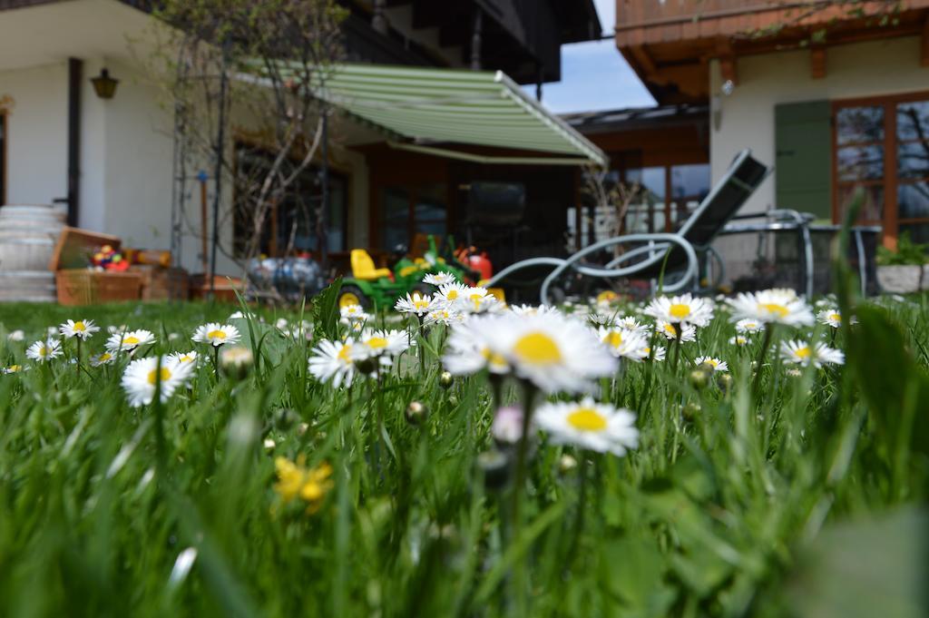 Pension Willibald Bad Tolz Exterior photo